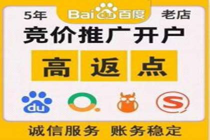 充值返点在电商平台中的运营策略分析